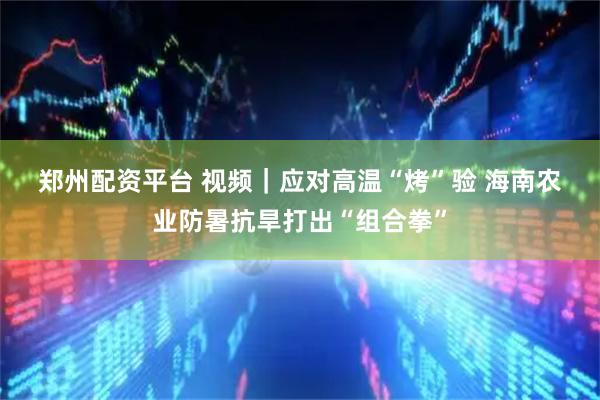 郑州配资平台 视频|应对高温“烤”验 海南农业防暑抗旱打出“组合拳”